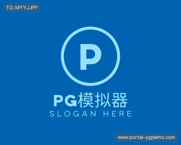 关于pg模拟器